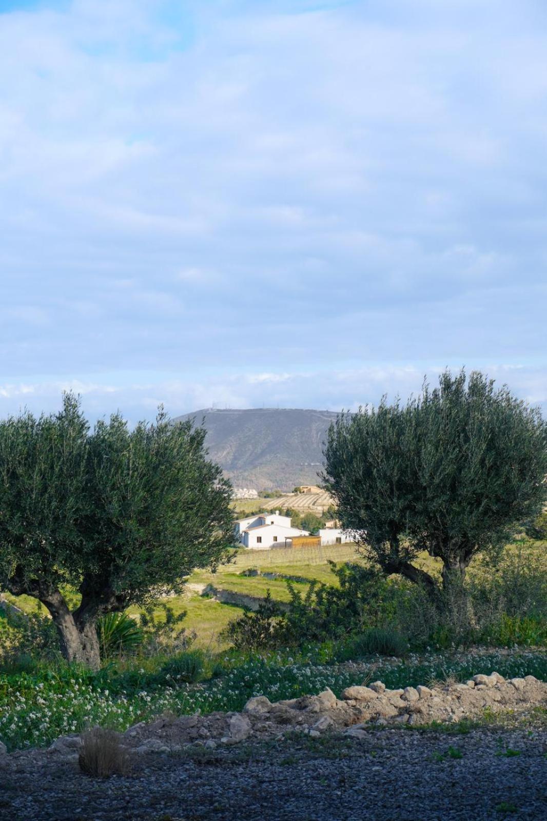 Hotel Finca Olivar Benissa Luaran gambar
