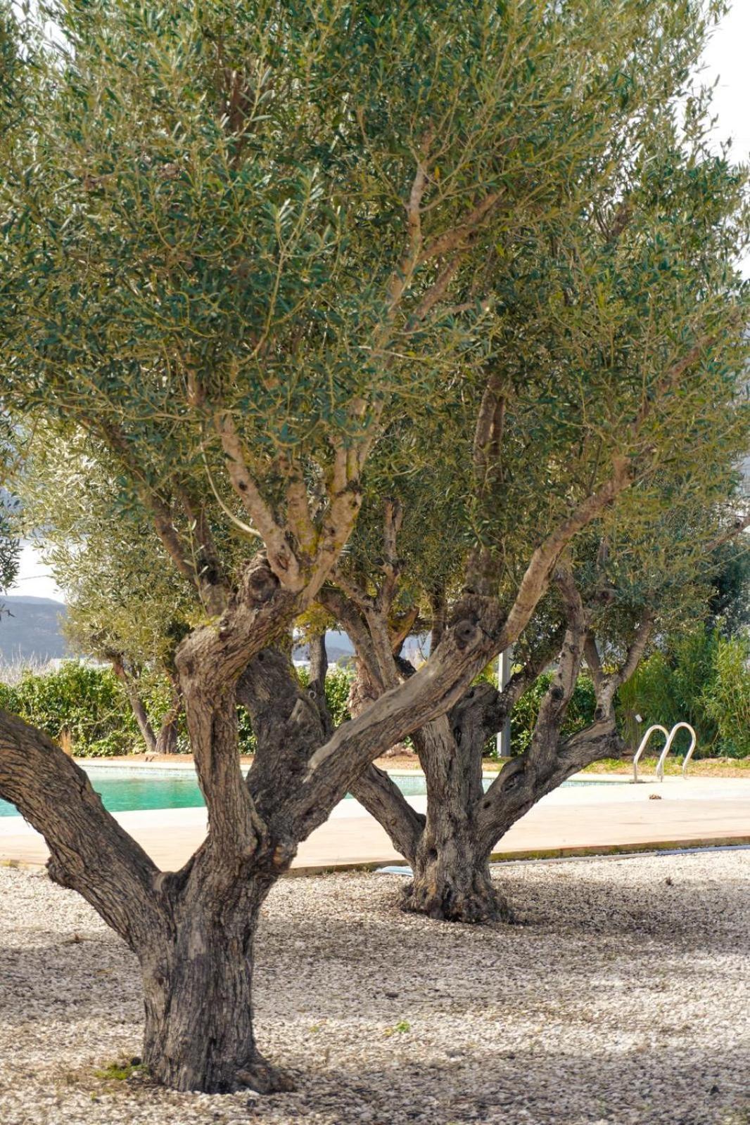 Hotel Finca Olivar Benissa Luaran gambar