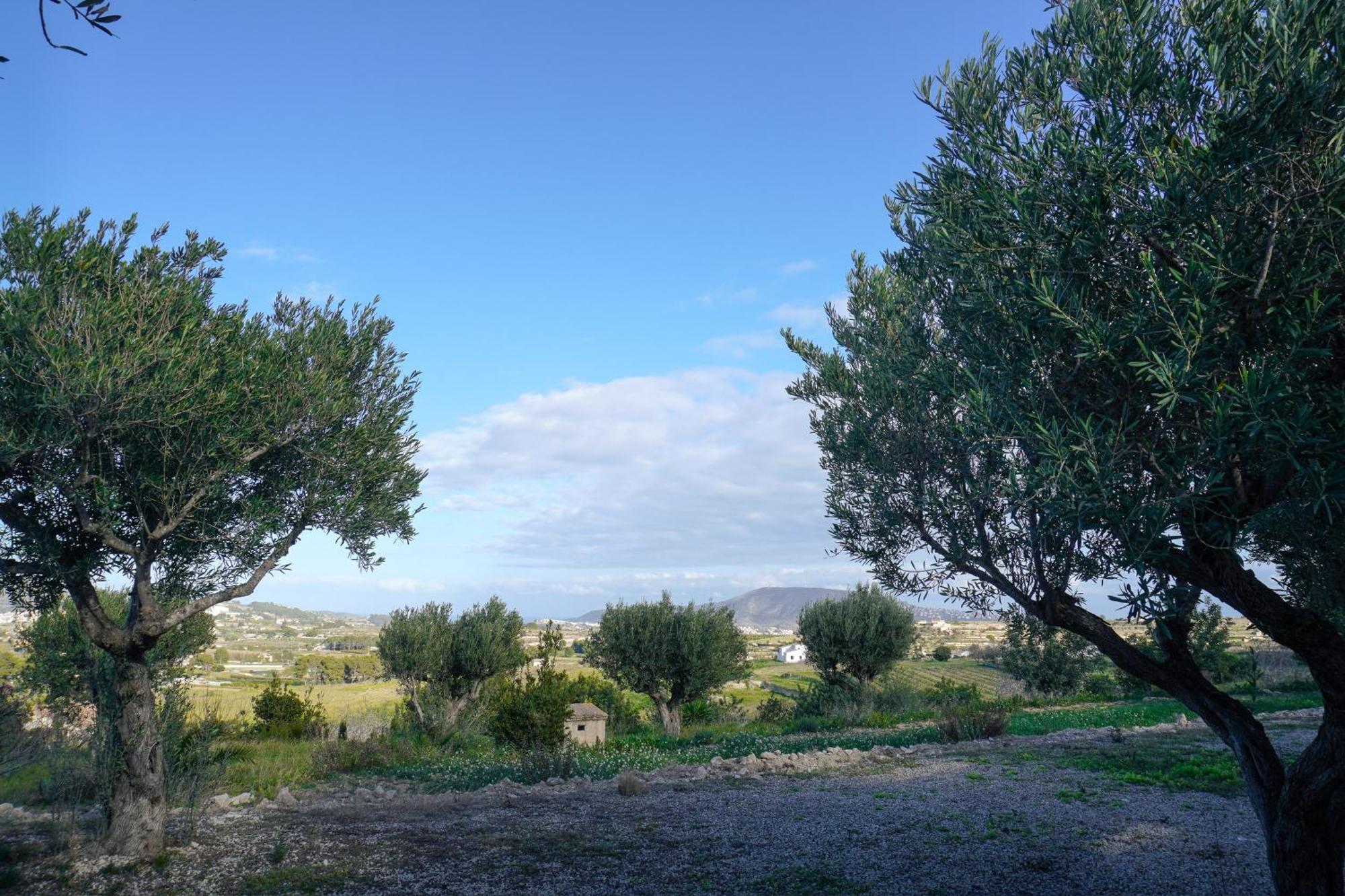 Hotel Finca Olivar Benissa Luaran gambar
