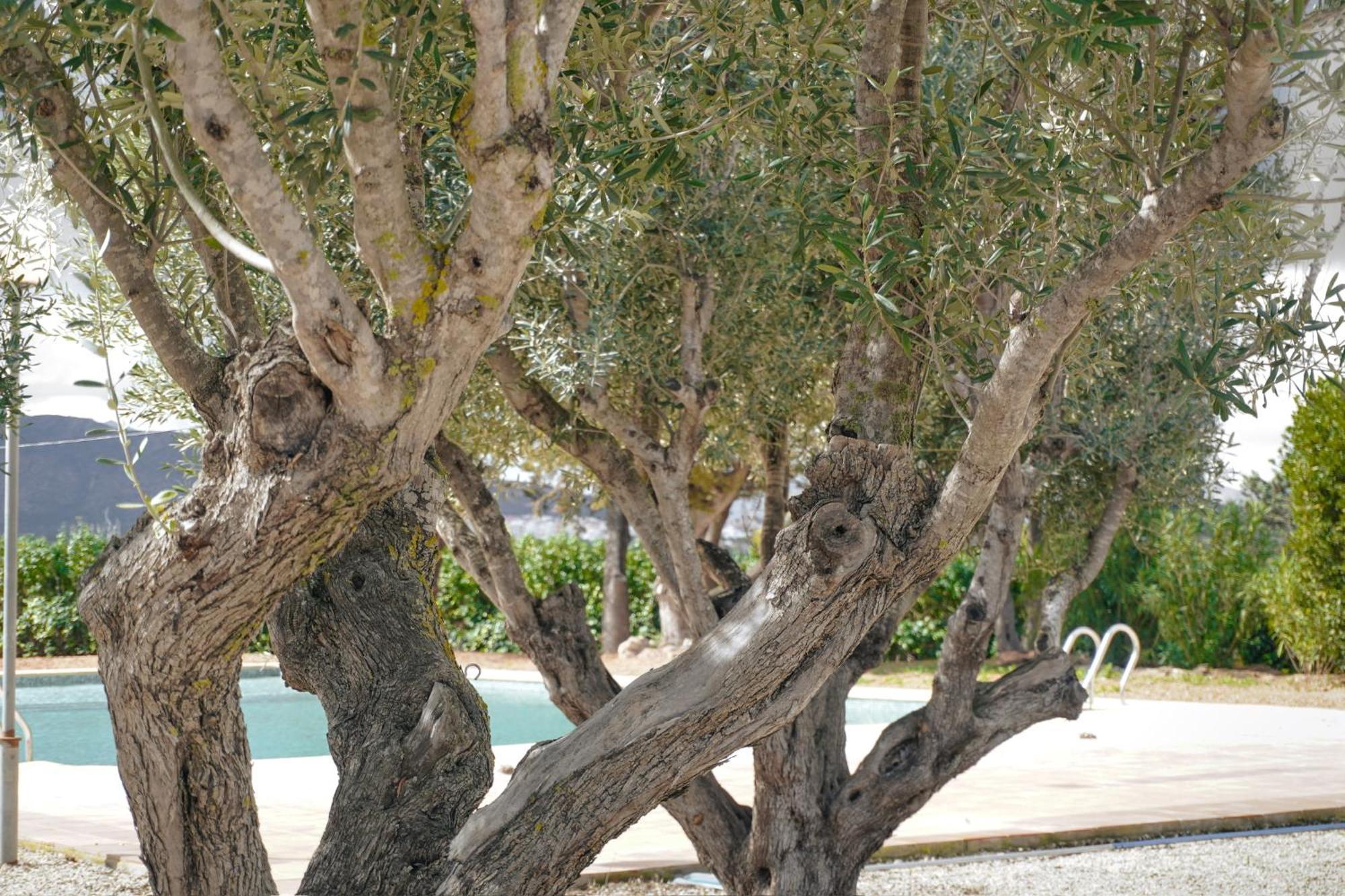 Hotel Finca Olivar Benissa Luaran gambar